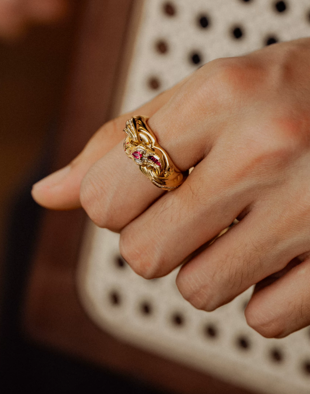 Infinite Möbius Ring