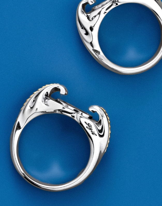 Infinite Möbius Ring